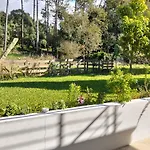 Casa Do Passal 아파트 Belinho