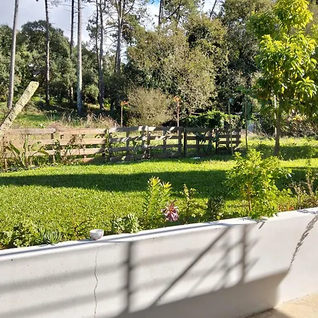 Casa Do Passal Lägenhet Belinho